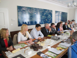 Z novinarske konference